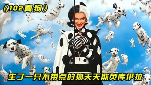 102斑点狗在线观看,重温经典，欢乐相伴